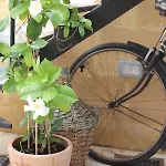招待所 Pedieos 尼科西亚
