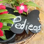 Pedieos 4* 尼科西亚