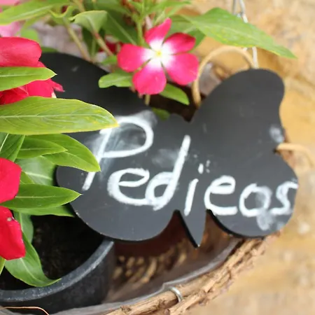 Pedieos 4* Nicosia