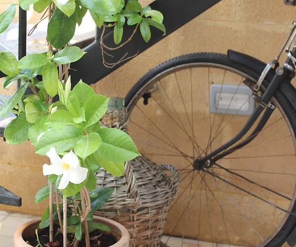 Konukevi Pedieos Lefkoşa