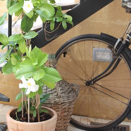 Vendégház Pedieos Nicosia