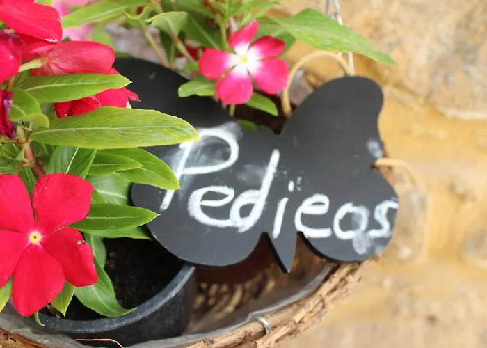 Pedieos 4* ニコシア