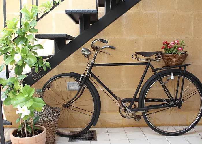 Pedieos 4* ニコシア